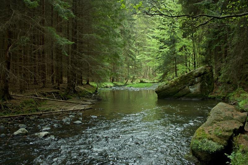 Ubytování U Potoka Kunratice  Esterno foto